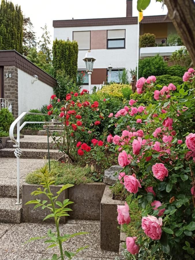 Apartments Gala, Ruhige Lage, Stadtnah Bad Kissingen Exterior foto
